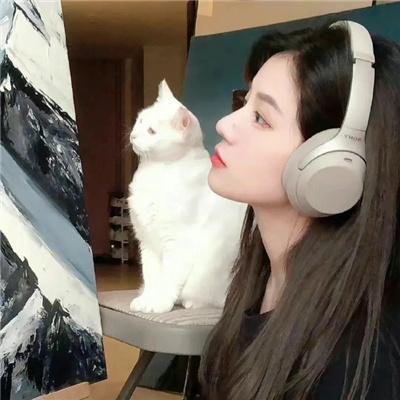 焦土僵局