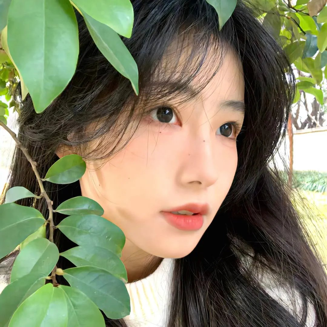 惨痛的战争